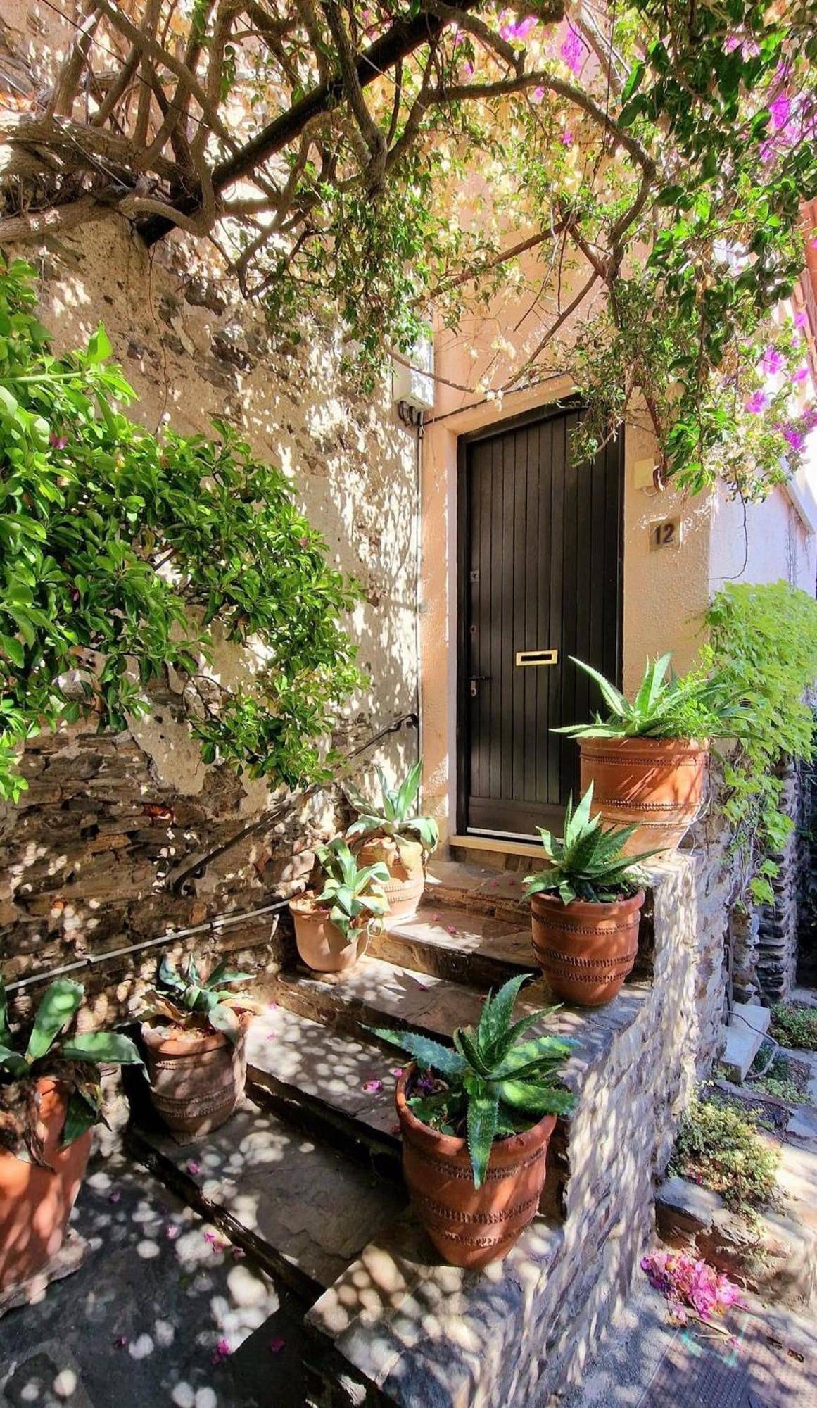 6Alz8 Appartement Pour 6 Personnes Collioure Kültér fotó